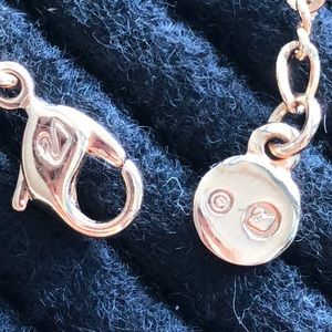 SWAROVSKI LONG ROPE NECKLACE(CHIPPED CRISTAL)